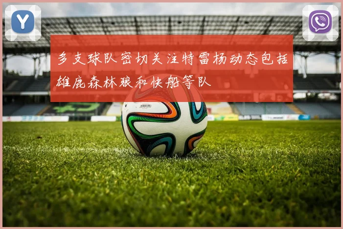 多支球队密切关注特雷杨动态包括雄鹿森林狼和快船等队