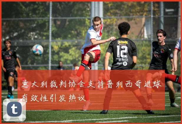 意大利裁判协会支持普利西奇进球有效性引发热议