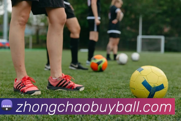 中超买球平台生态图